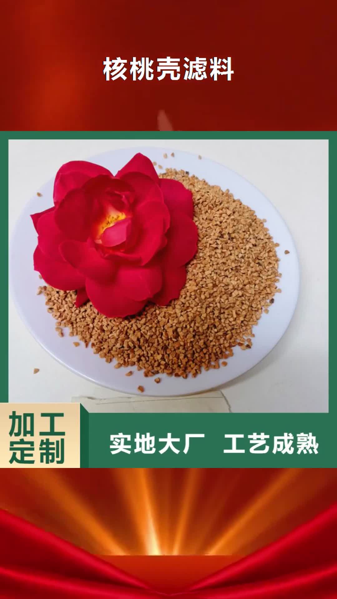 揭阳 核桃壳滤料 【柱状活性炭】精选优质材料
