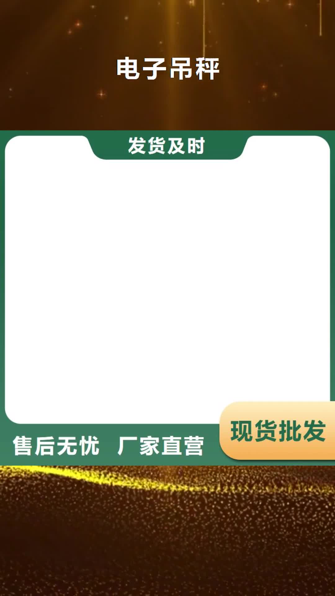 【大庆 电子吊秤 防爆地磅多种规格供您选择】