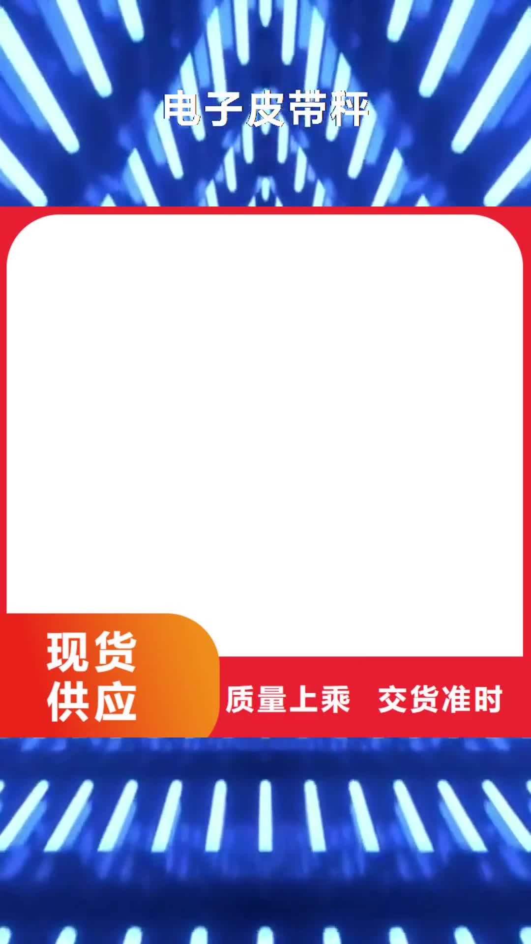 成都 电子皮带秤,【电子地磅维修】快捷的物流配送