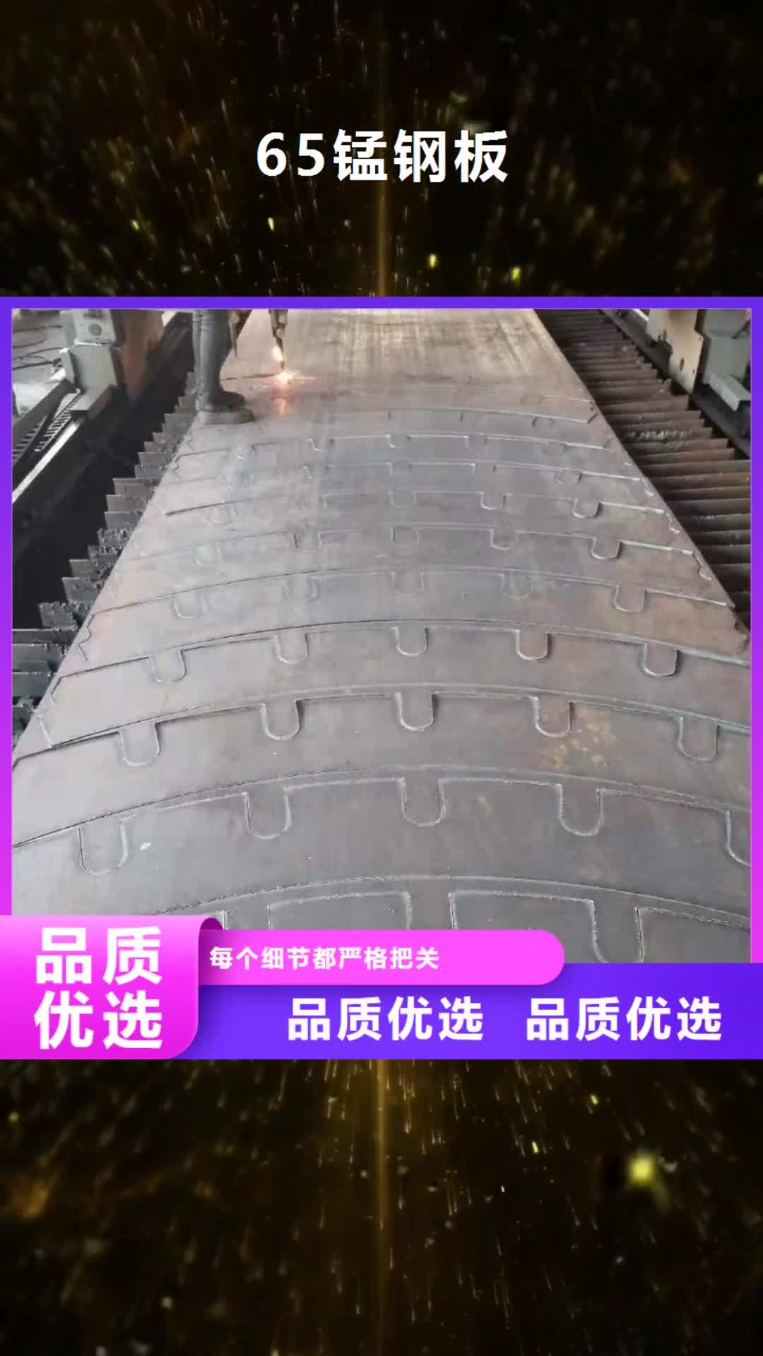 丽水 65锰钢板_【NM500耐磨板】厂家直销售后完善