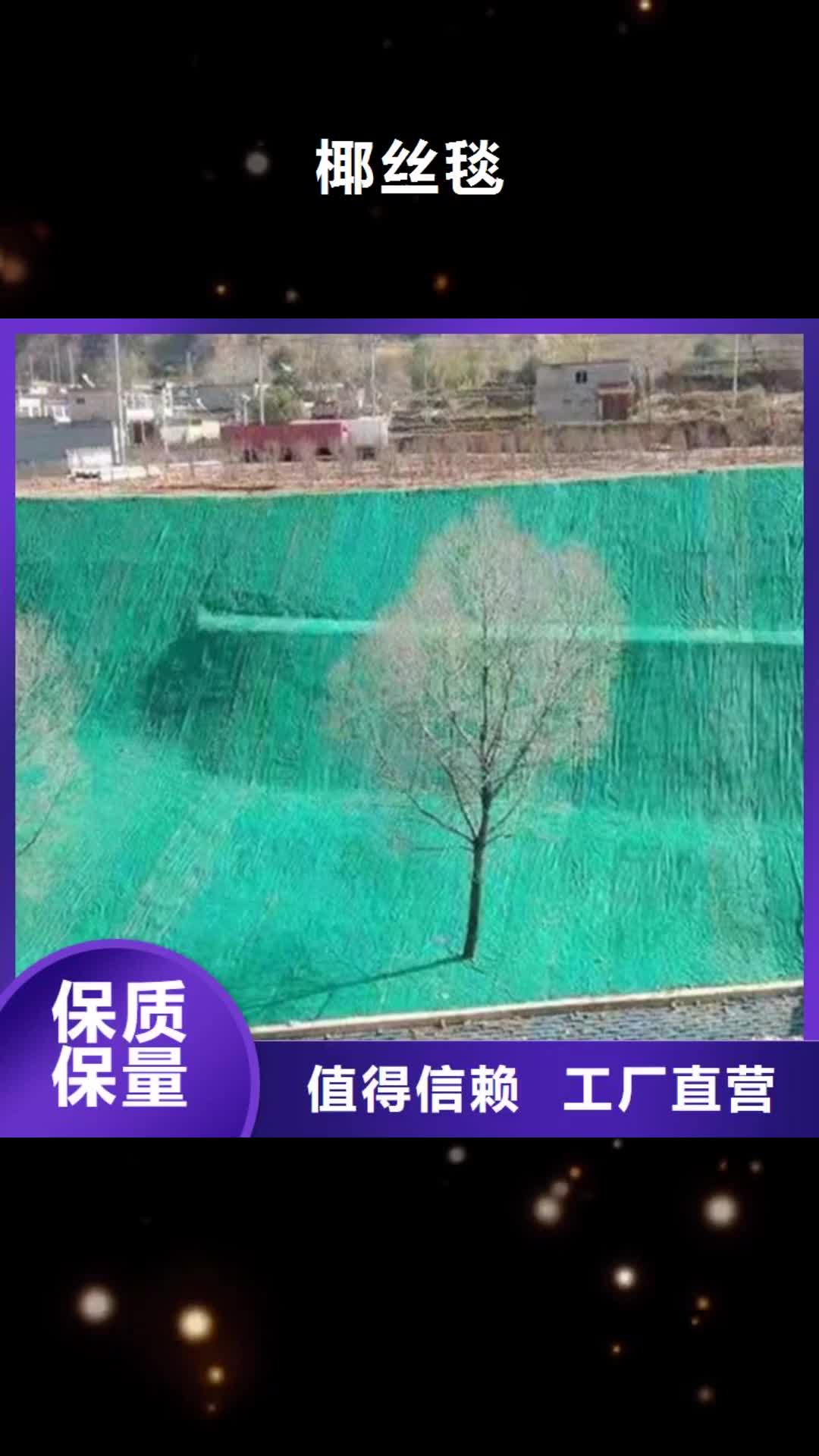 阳江【椰丝毯】-土工格栅厂家直接面向客户