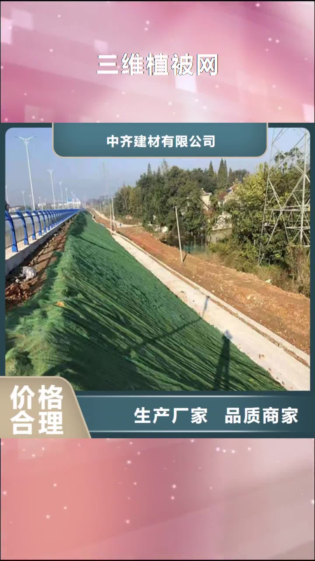 【黑龙江 三维植被网,膨润土防水毯品质之选】