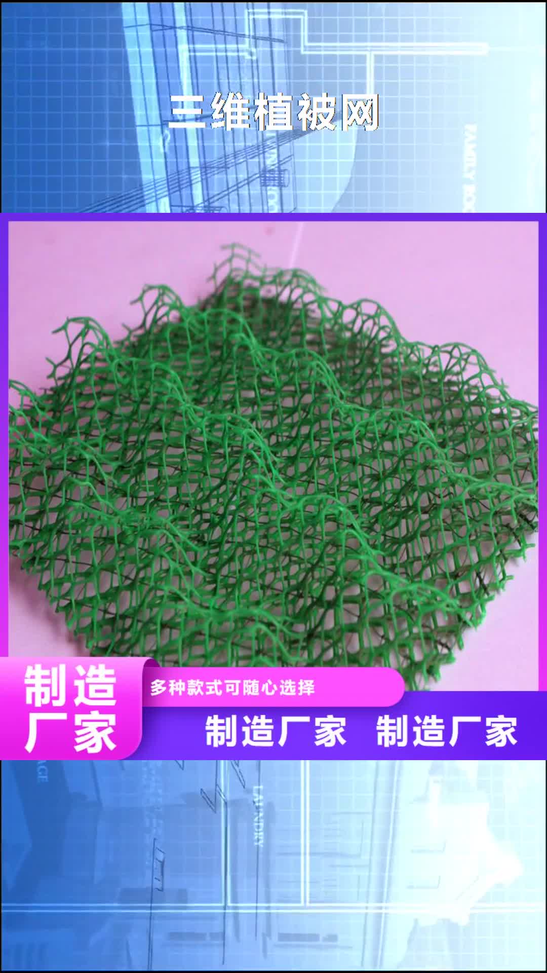 普洱 三维植被网,【砂浆混凝土纤维】型号全价格低